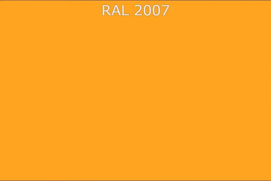 RAL 2007  Люминесцентный ярко-оранжевый