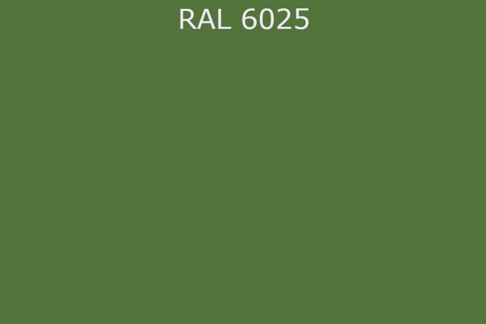 RAL 6025 Папоротниково-зелёный