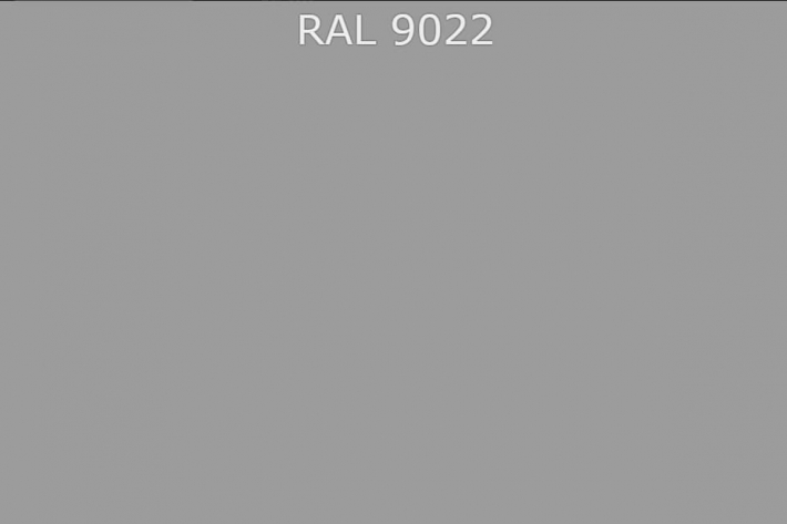 RAL 9022  Перламутровый светло-серый